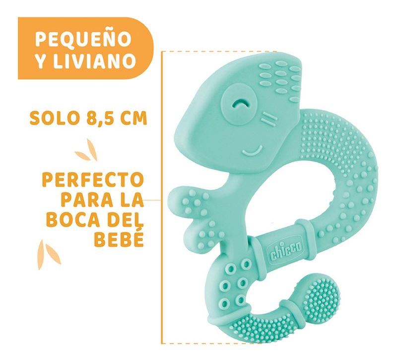 Frente