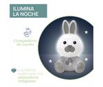 imagen--39-